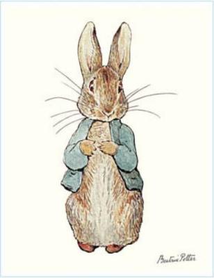 Peter Rabbit drawn by Beatrix Potter, a great theme for a Baby Shower or First Birthday Party
