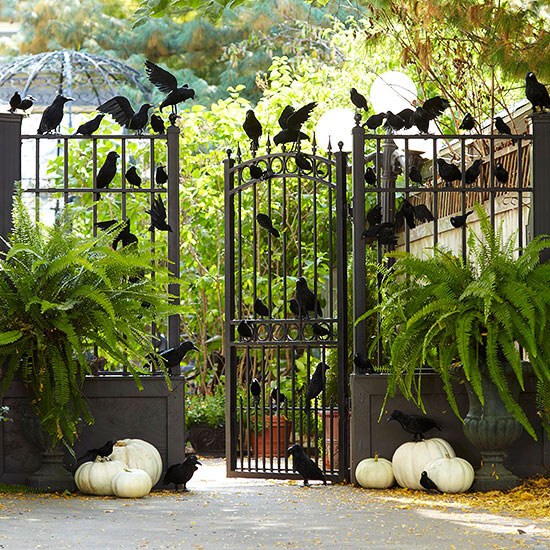 Crows on gate for Halloween Decoration