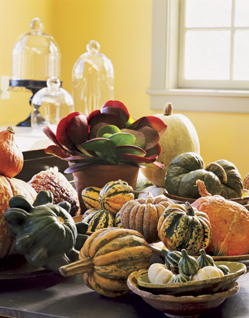 Squash and pumpkin centerpiece ~ Country Living