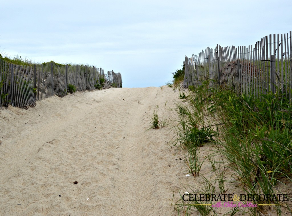 Through-the-dunes-to-the-beach