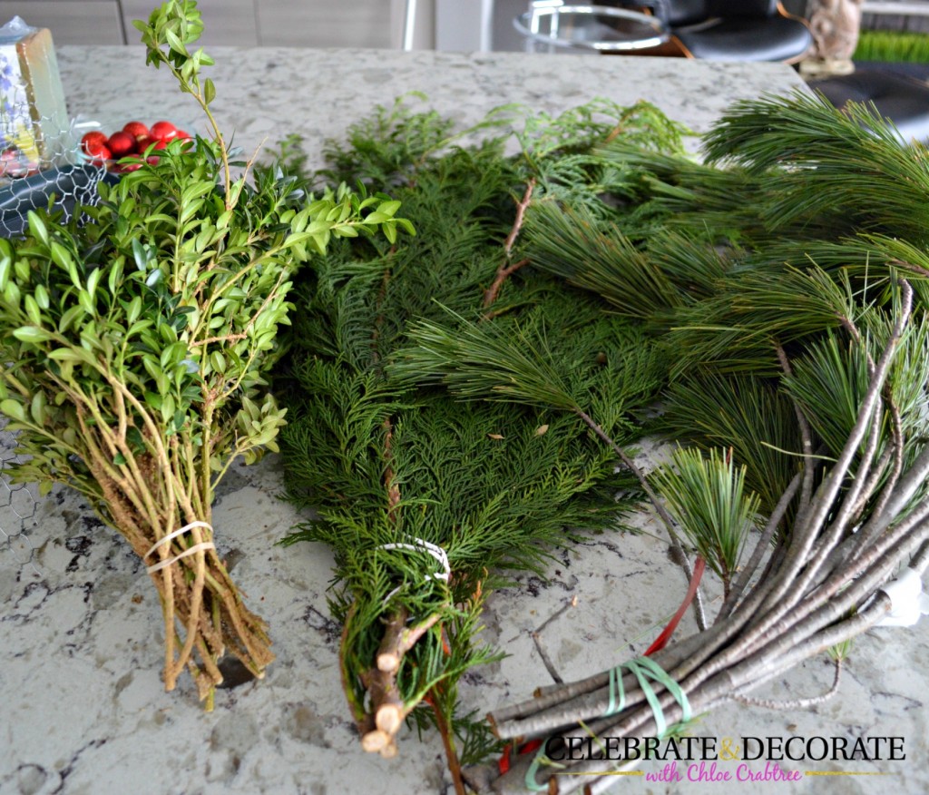Evergreens for making a Christmas Centerpiece