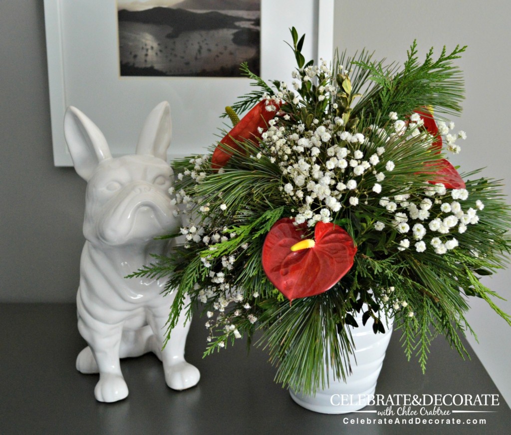 Anthurium and evergreens for Christmas