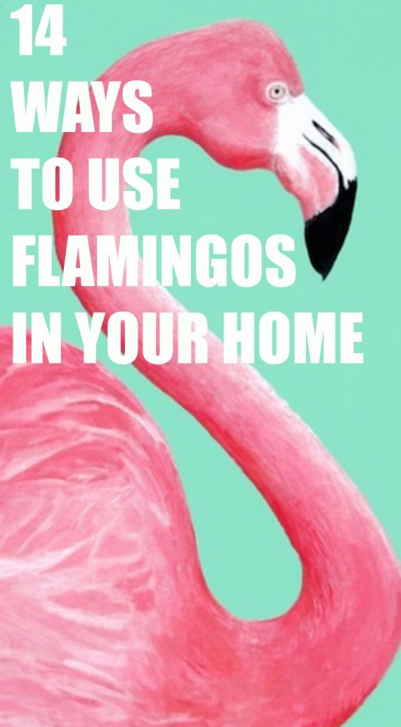 Fun Ways to Use Flamingos in your home decorating!