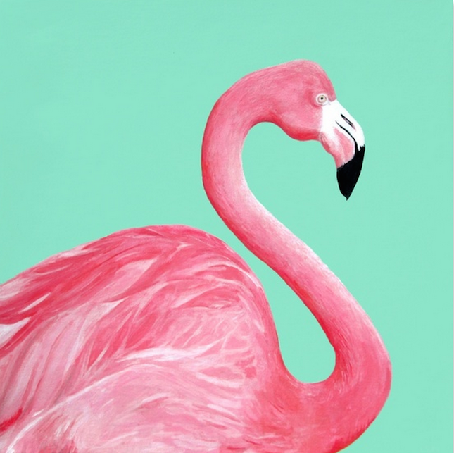 Flamingo on Canvas
