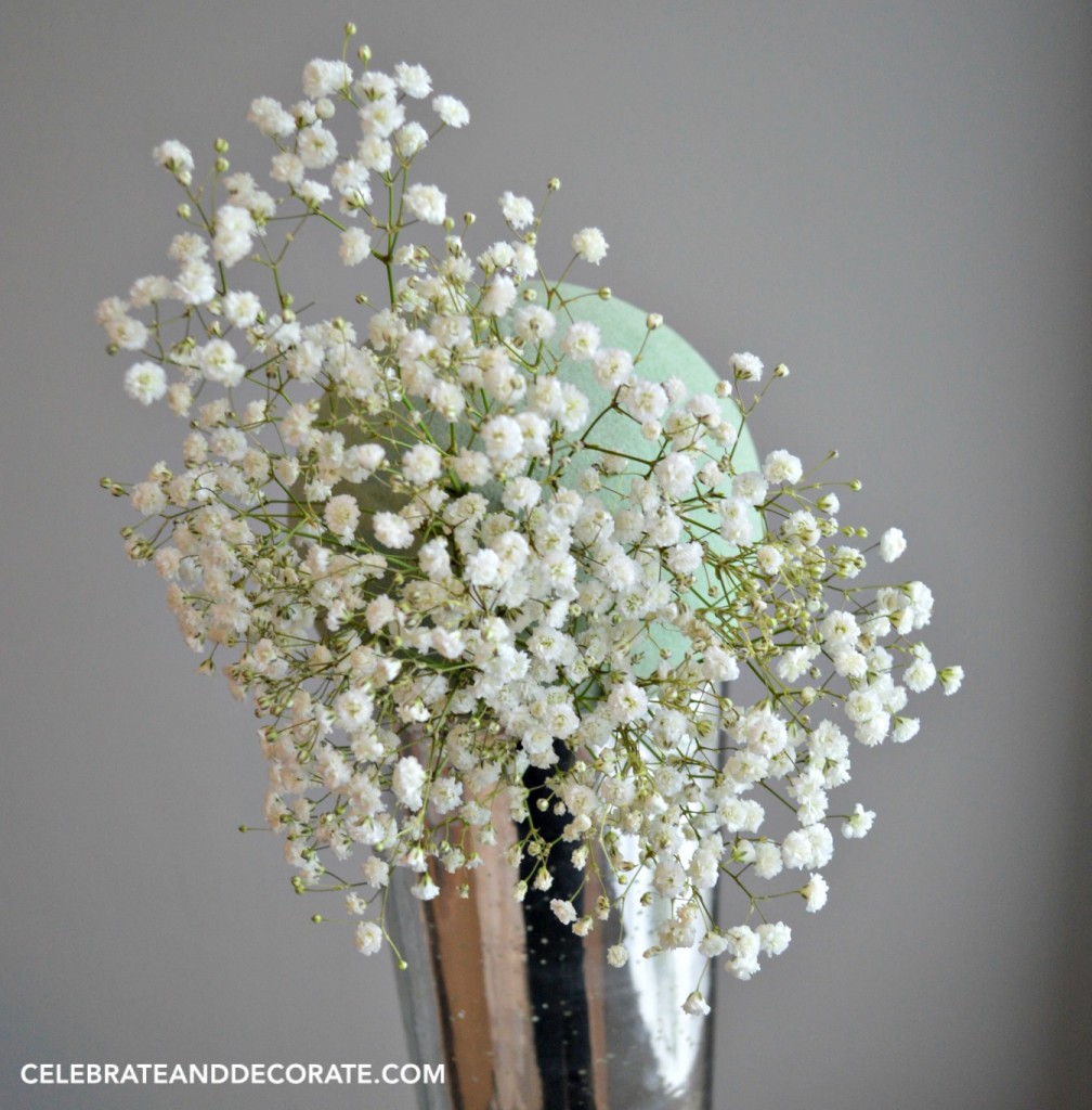 Make your own centerpiece with baby's breath