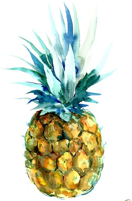 Pineapple Artwork by Suren Nersisyan