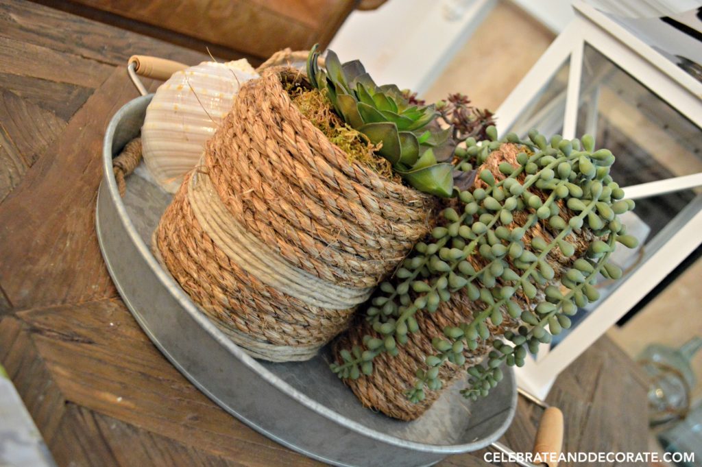 DIY Coastal vases for a succulent display