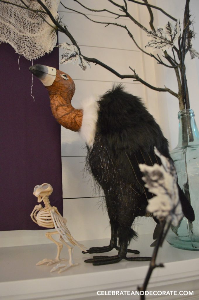 a-buzzard-and-a-little-bird-skeleton-for-halloween-decor