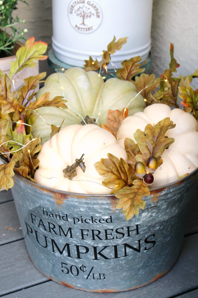 Galvanized pail with Farm Fresh Pumpkins lettering on it filled with white pumpkins and fall leaves with acorns and tiny lights