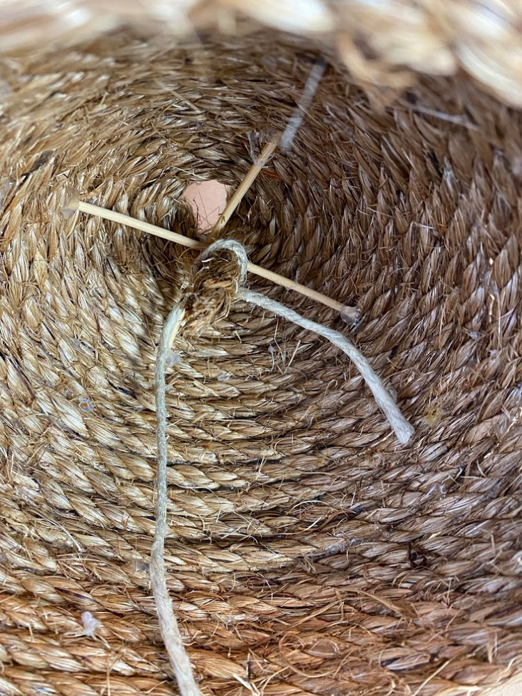 View inside of a decorative rope bee skep with two wood dowels crossed up inside of it and a string tying a rope loop in there
