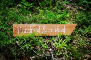 Hundred Acre Wood Sign directing you to Winnie the Pooh's house