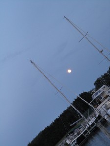 The moon comes up among the masts at the yacht club