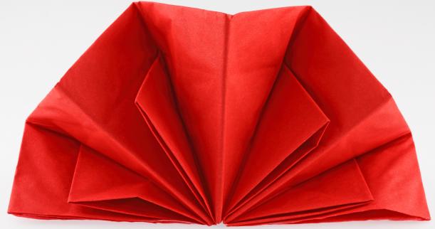 Elegant Napkin fold