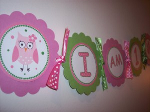 Pink and Green Owl Banner or garland for a Birthday party