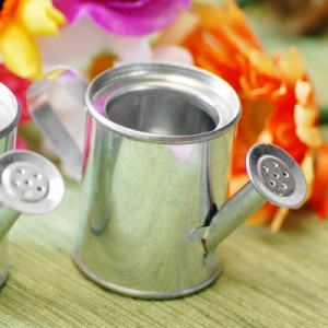Miniature watering cans for party favors and decor