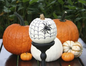 Look out! The spider has woven his web on this mini pumpkin