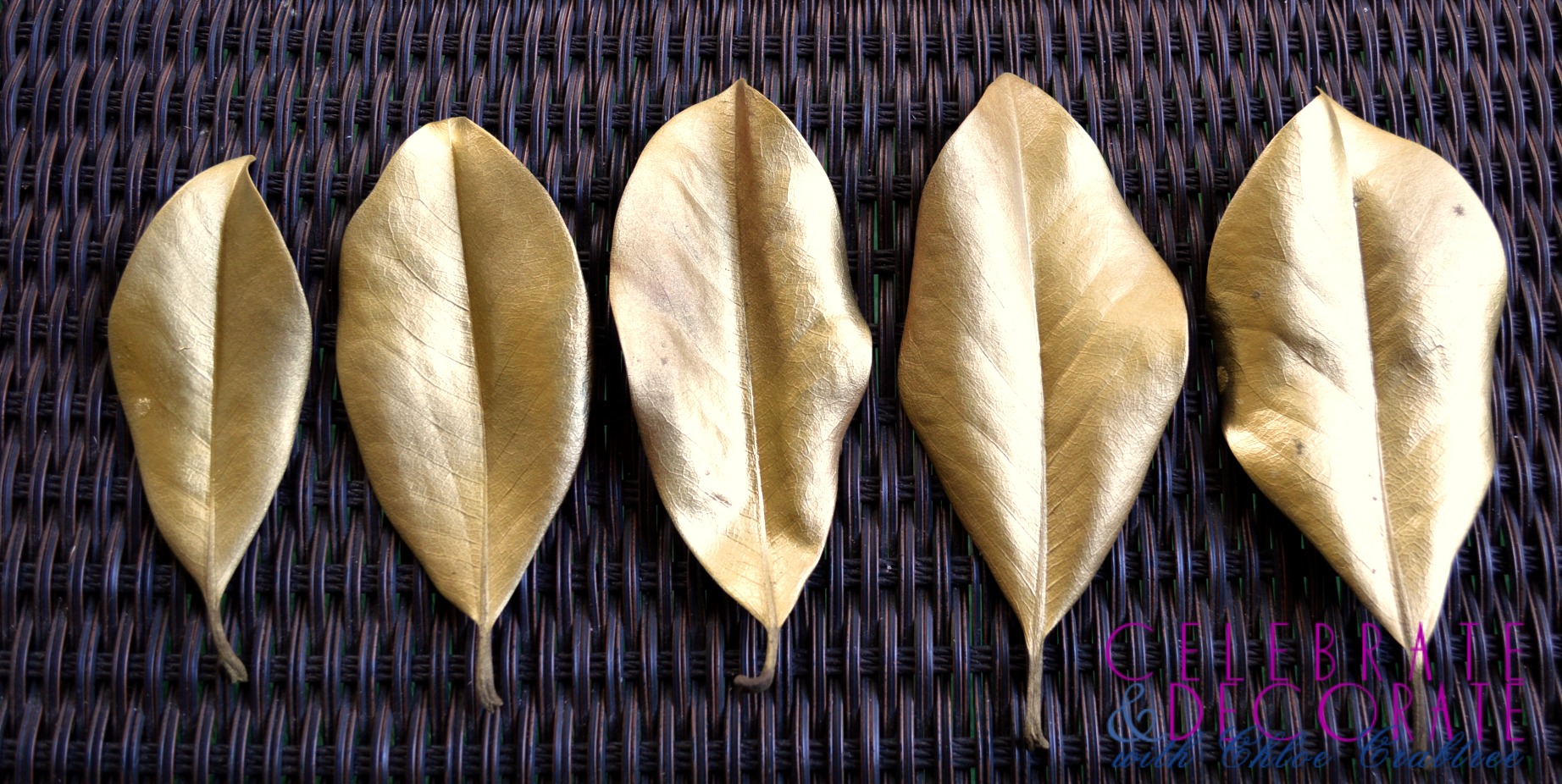Gold Magnolia Leaves