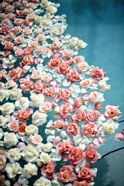 Floating-Roses