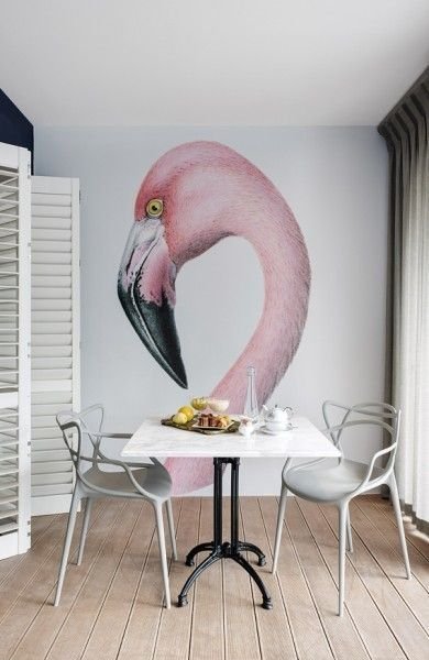 Flamingo on a wall in a small space
