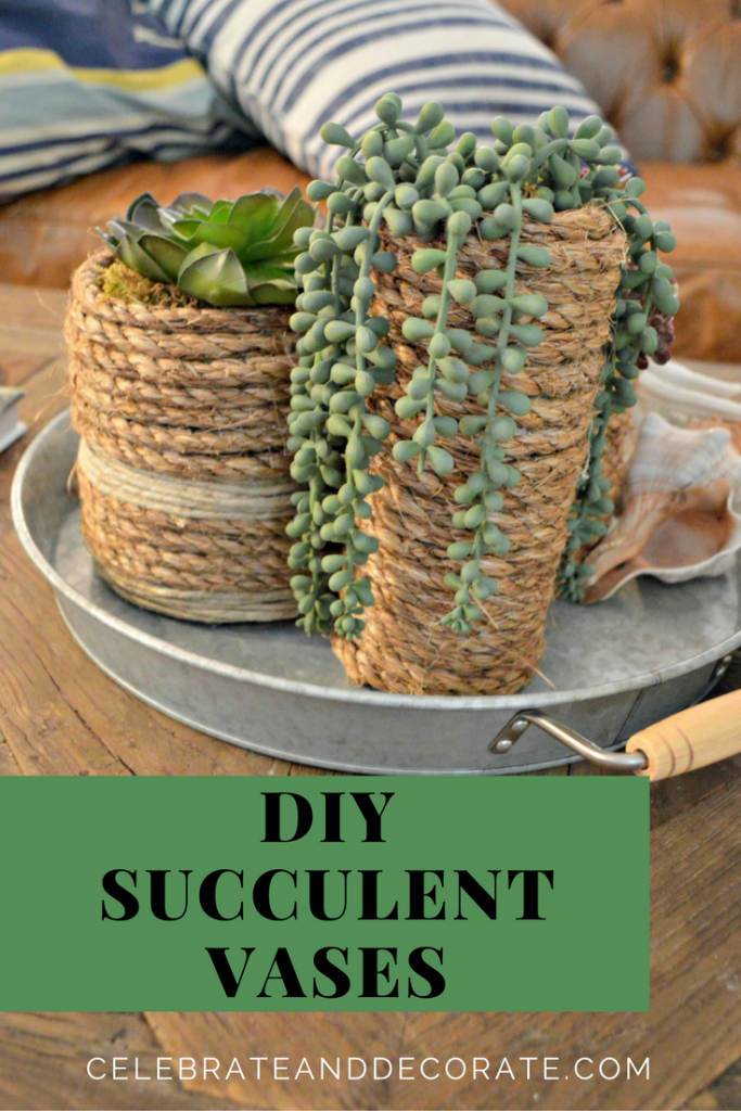 DIY Succulent Vases