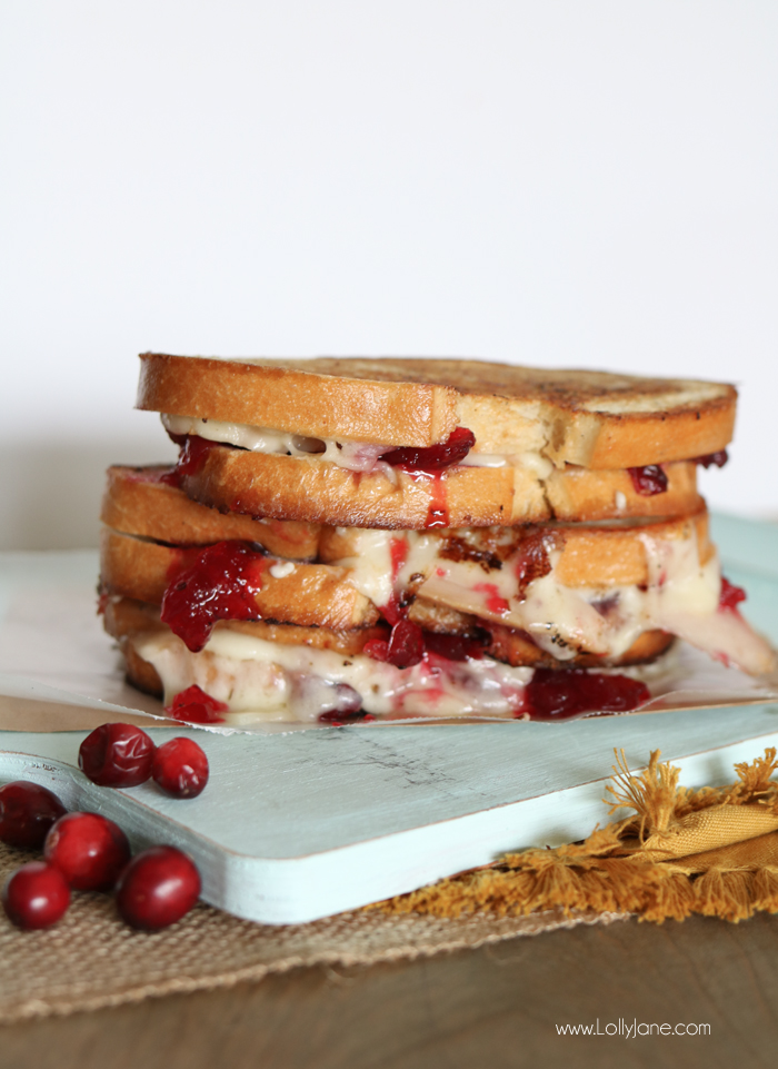 thanksgiving-cranberry-turkey-grilled-cheese-provolone-sandwich
