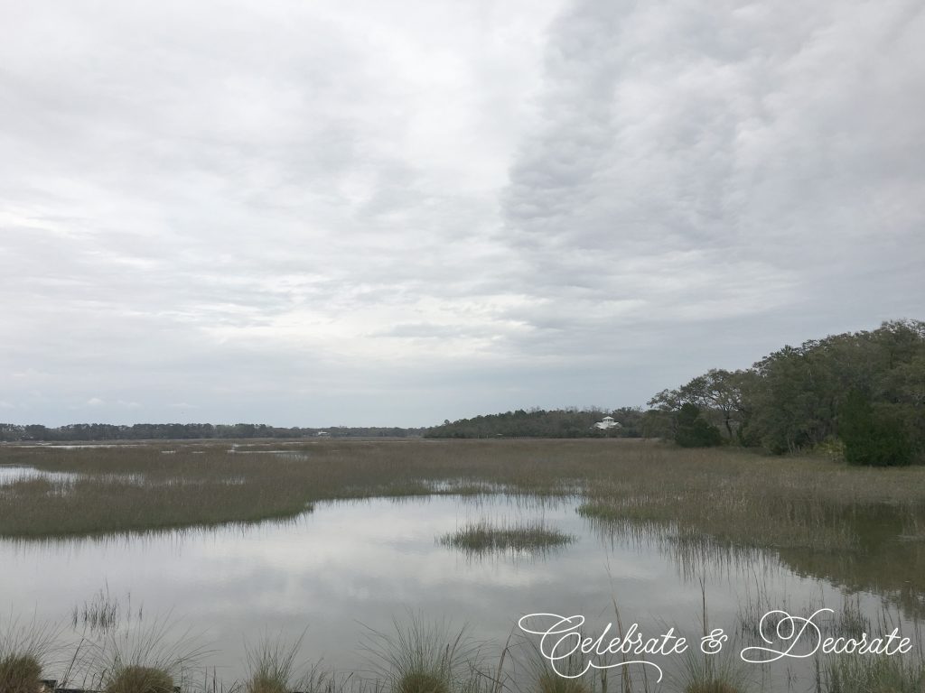 Low country marshlands