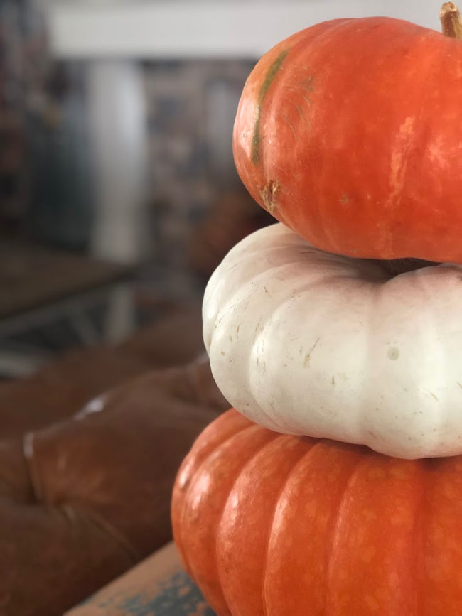 Orange and white pumpkins stacked on one another