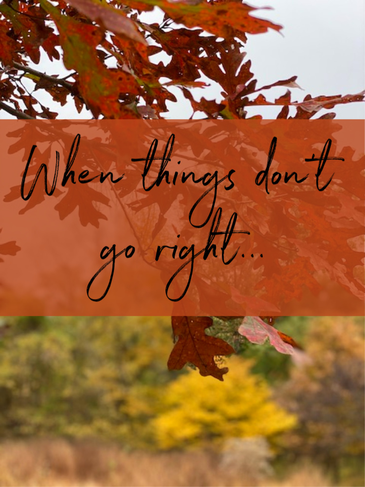 When Things Don’t Go Right…