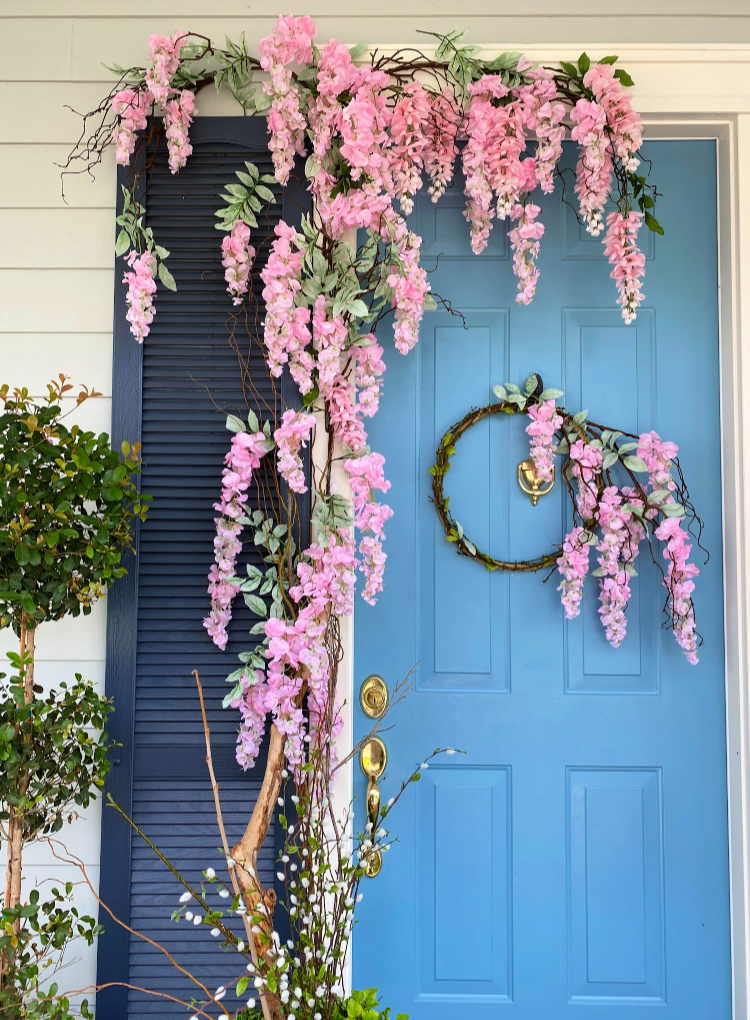Welcoming Wisteria Vine for Spring