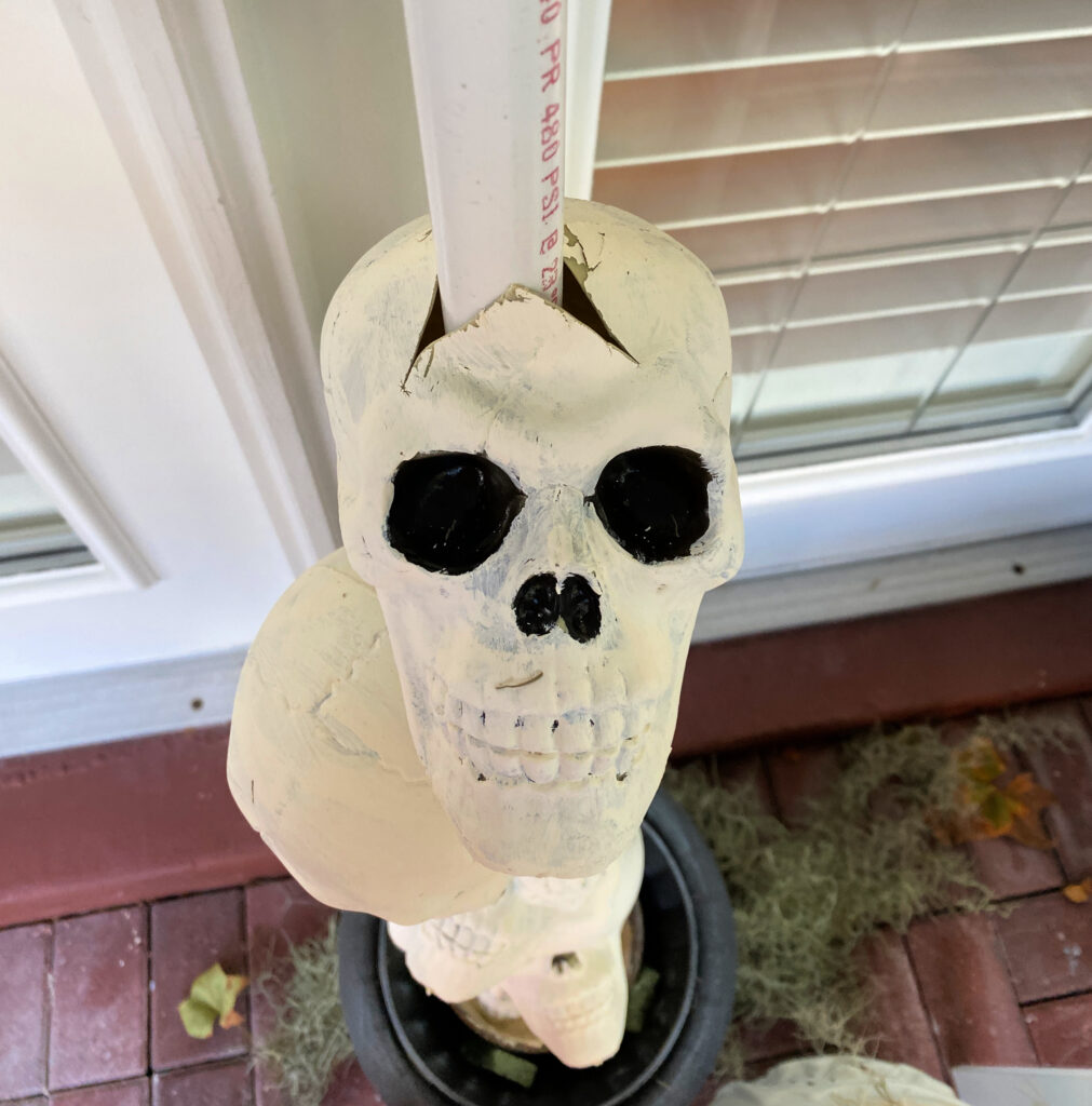 plastic dollar store skulls 