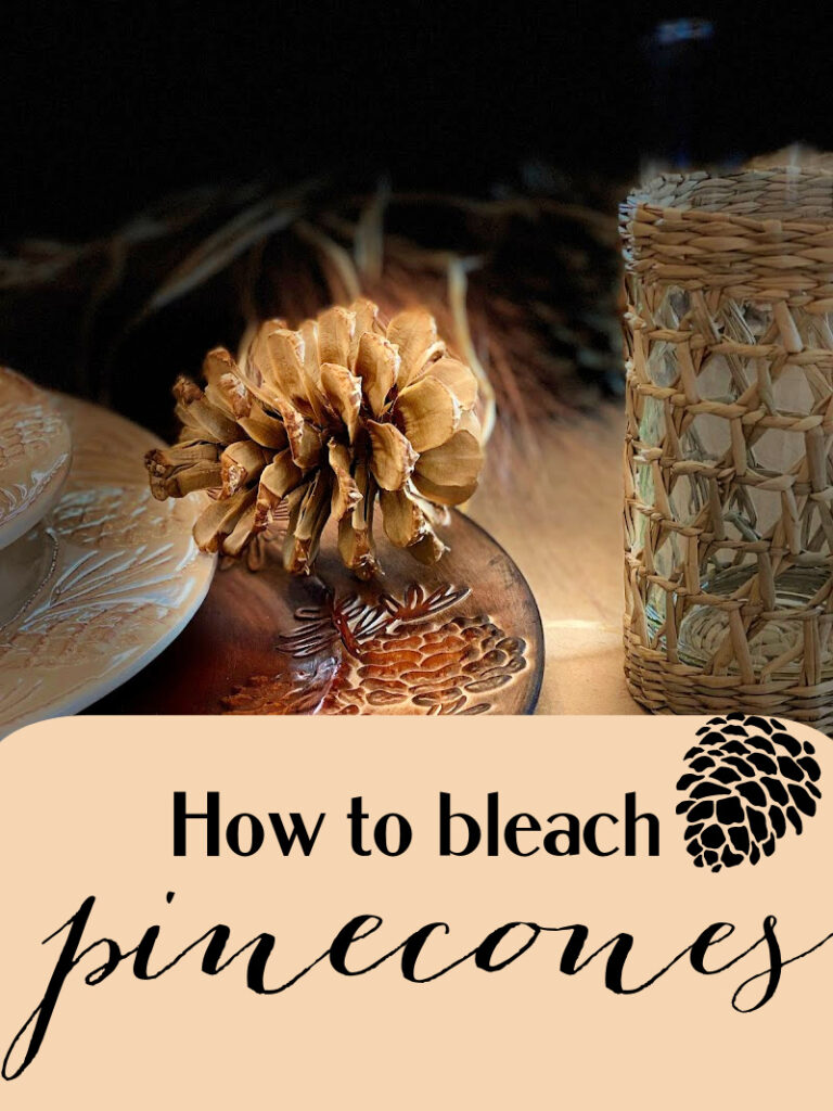 How to Bleach Pinecones