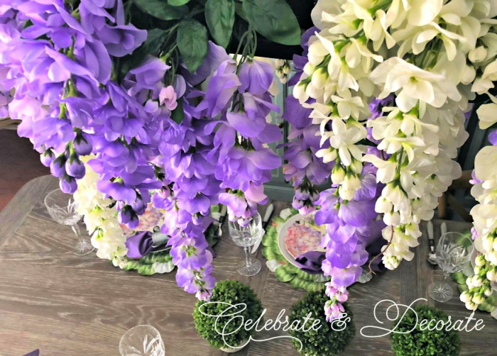 Purple and white wisteria hanging over a luncheon table 