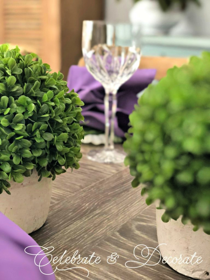 Small boxwood plants for a centerpiece 