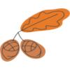 a cartoonish orange drawing of a leaf and acorns