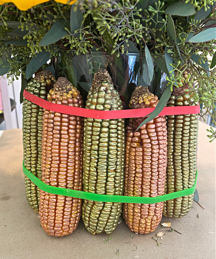 a close up of painted ears of indian corn with red and green rubber bands around them with foliage in the vase inside the corn
