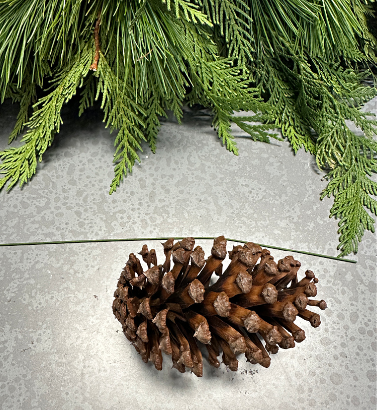 A pine cone and a piece of 21 weight wire on a table with some evergreens