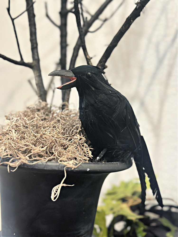 Faux black raven perched beside black-painted branches and Spanish moss in a distressed black urn for Halloween.