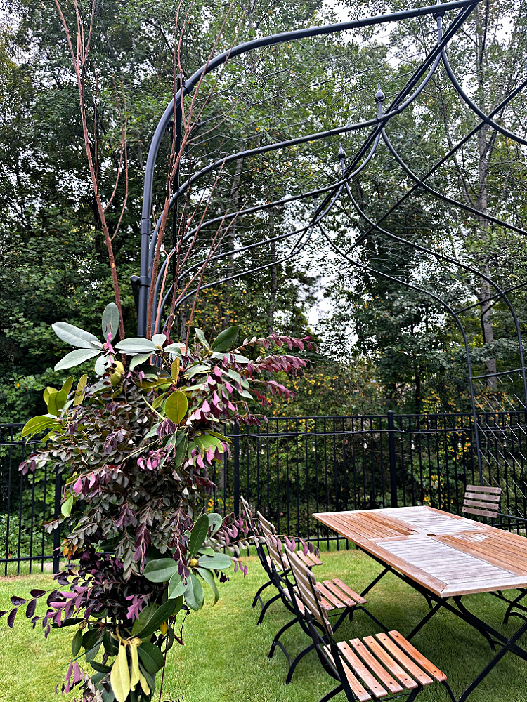 Green and burgundy foliage with tall bare branches decorates a black metal pergola post beside a wooden outdoor dining table and chairs.