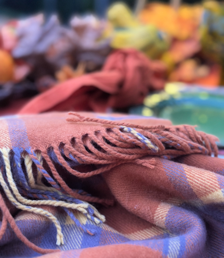 Close-up of a fringed plaid throw in rust, blue, and cream, with a fall table setting softly blurred in the background.